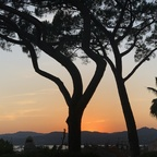 Onlyfans leaked wildside 

 profile picture