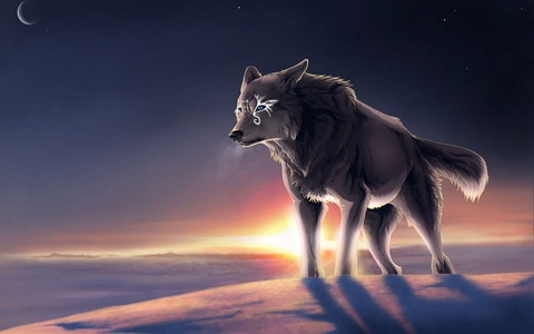 Header of wolfpositivity