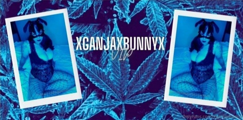 Header of xg4njaxbunnyxvip